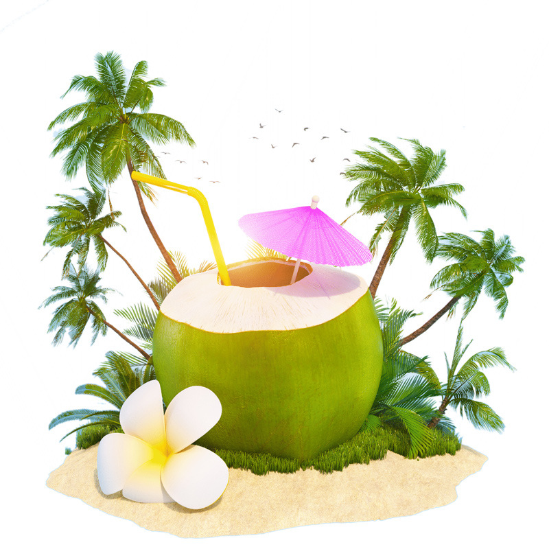 Hainan coconut Coconut Sanya Coconut young coconut On behalf of wholesale