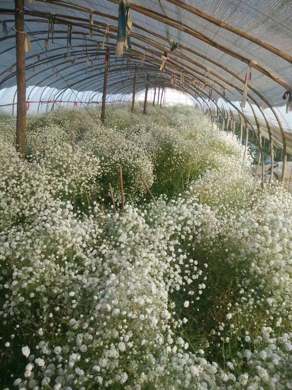 QQ图片20190626225127