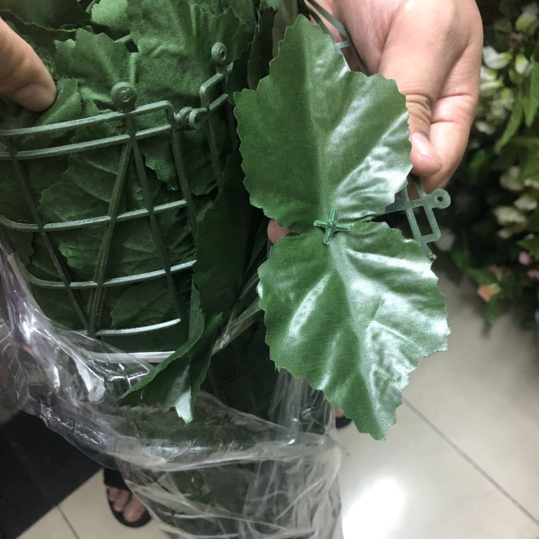 微信图片_20190705173004