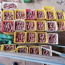 农用橡胶制品;塑胶托盘;玩具包装