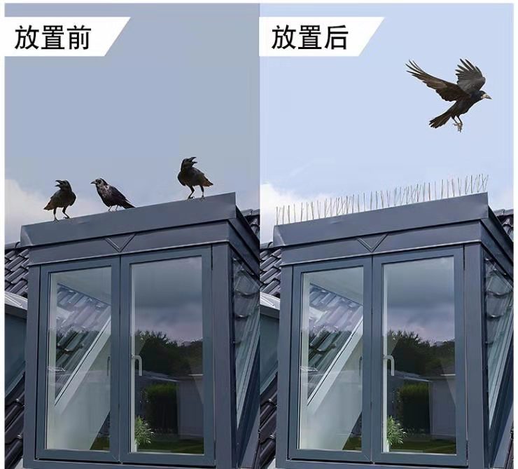 ef45636ac721cee6fe281af55d6c34