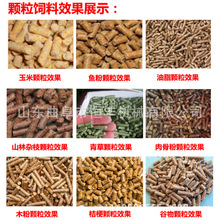 济南珍珠棉回收颗粒机 水产饲料成球机设备 两相电小型饲料颗粒机