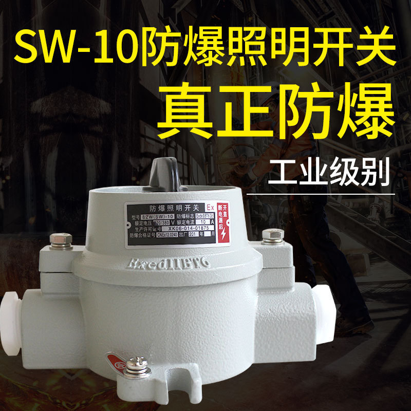 SW-10 explosion-proof switch 220V380v 10A waterproof and dustproof control button aluminum alloy explosion-proof lighting switch