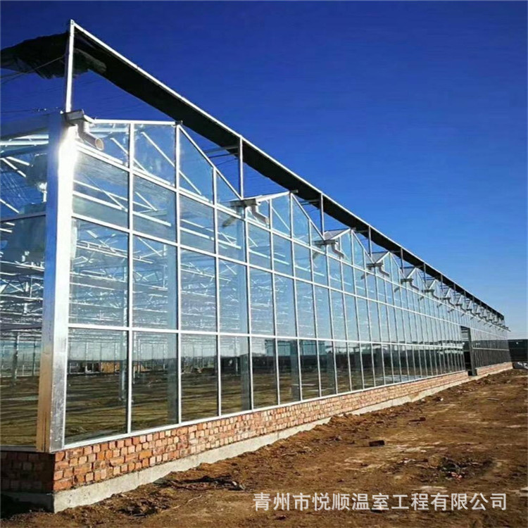 玻璃温室大棚工程连栋薄膜温室工程连栋温室温室大棚智能温室大棚