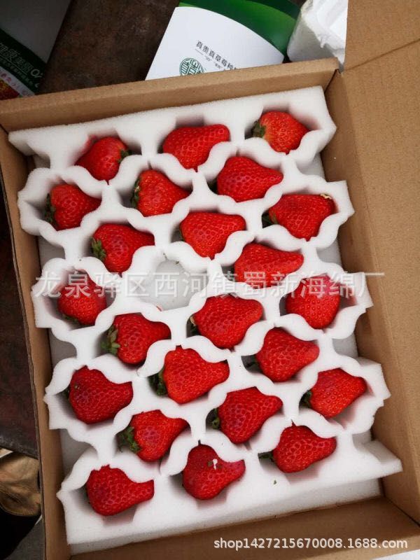 厂家直销白色草莓包装海绵泡沫/成型开孔快递草莓包装海绵