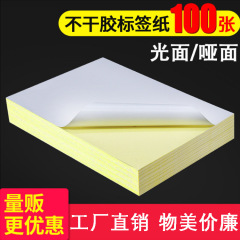 Printable A4 Self-Adhesive Label Paper, Matt/Glossy Label Paper, Blank Backing, Laser/Jet Ink Copy Label