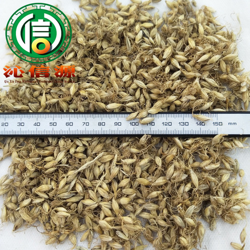 Full Malteus Raw Material Bulk 1kg Loose Packing Direct Supply Raw Malteus Qinxin Source TCM Wholesale