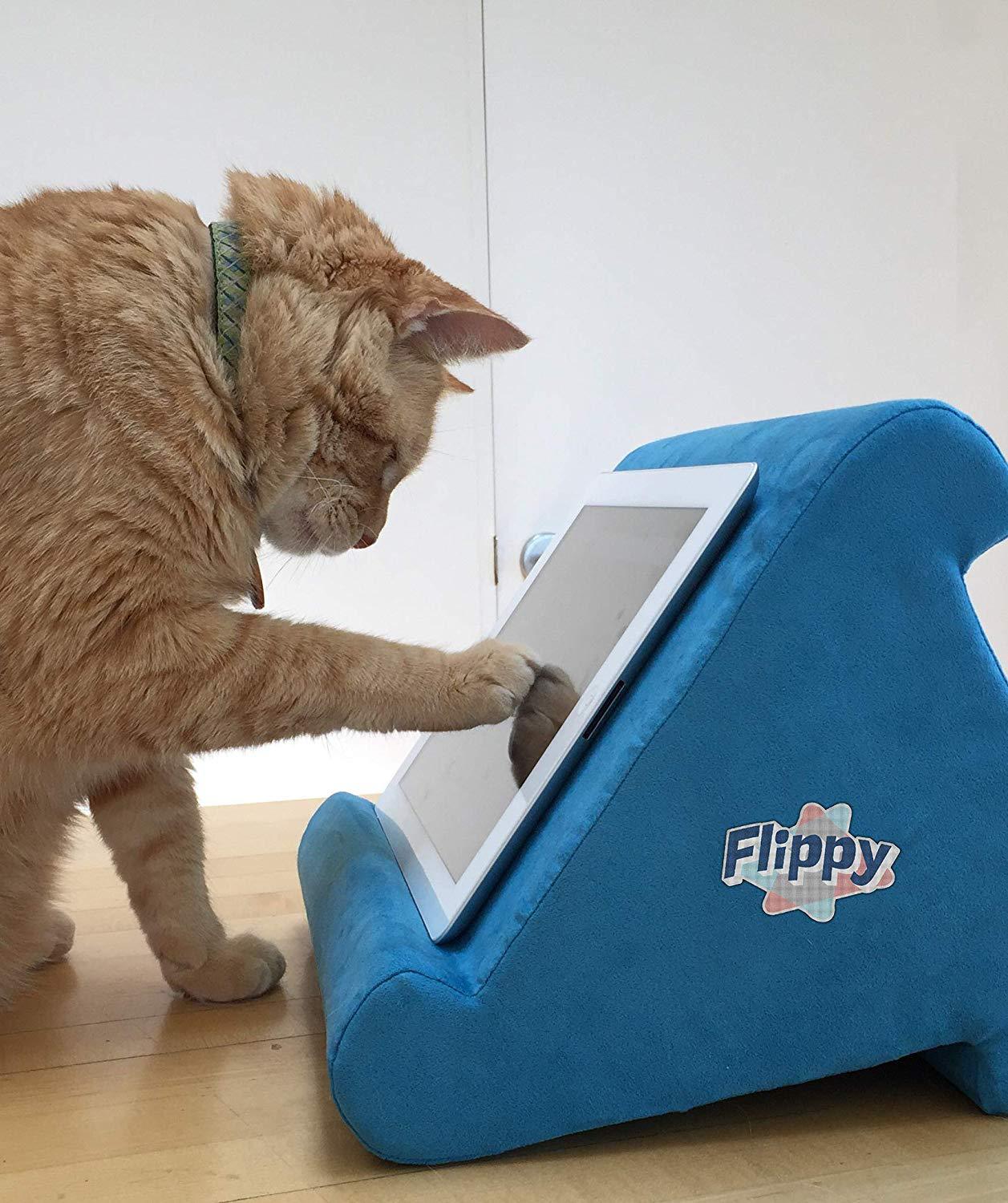 81bjdx6yULL._SL1500_