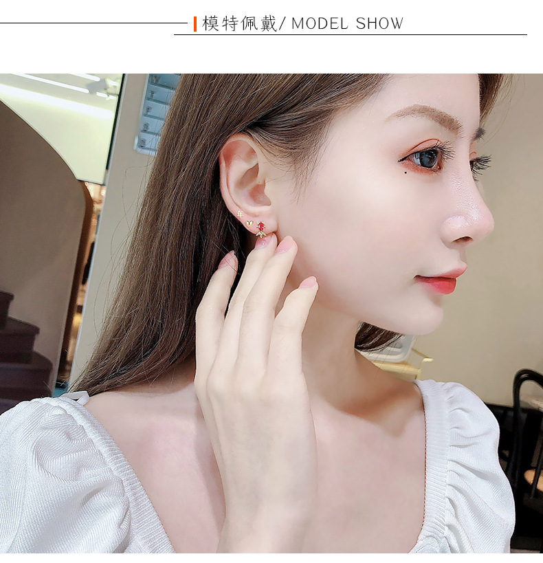 Winter New Year Six-piece Earrings Women Simple Fashion Earrings display picture 13