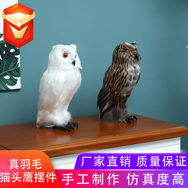 仿真羽毛猫头鹰工艺品羽毛鸟类标本摆件摄影道具静态模型家居摆设