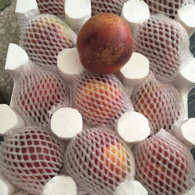 现季发货黄心油桃5斤桃子应时令新鲜水果水蜜脆桃非10现摘现发|ru