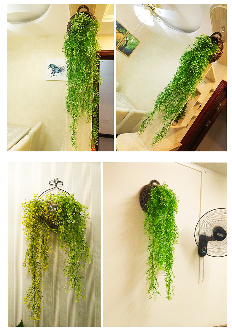 金钟柳 金钟柳壁挂