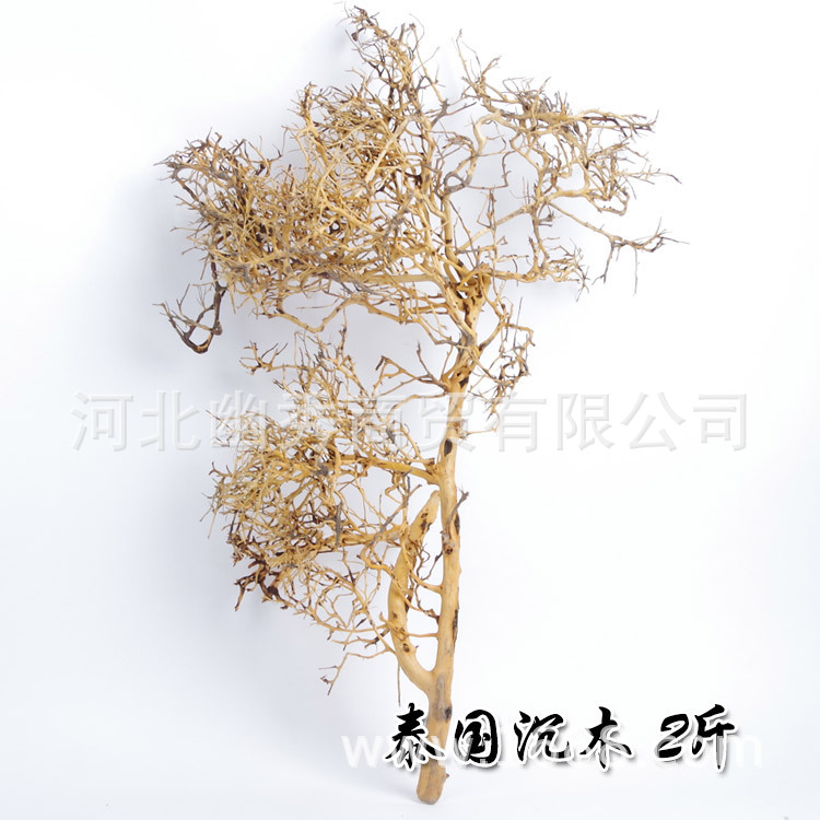 鱼缸景观沉木栖根景观缸造景全套莫斯树沉木黑壳虾斑马鱼缸景观木""