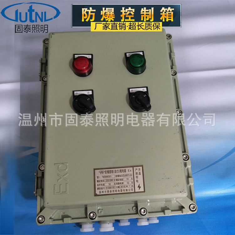 BXK51-A2D1K1防爆控制箱  防爆仪表控制箱带挂锁防爆控制箱