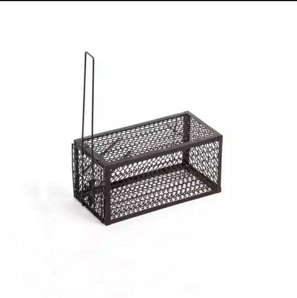 QQ图片20190925110112