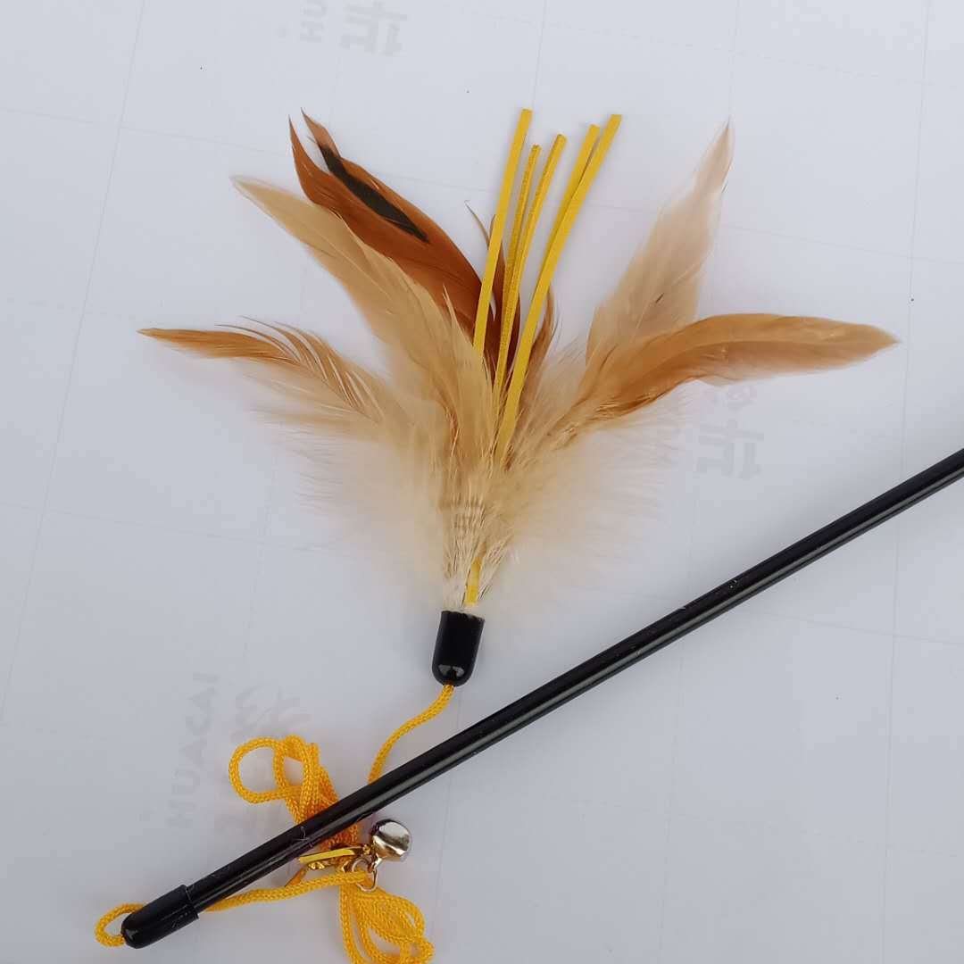 微信图片_20190410204846