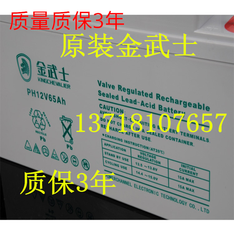 金武士蓄电池PL10012YA（12v100ah）长寿命电池质保5年