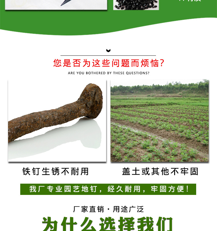地钉_05