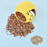 现货办公室迷你植物桌面小盆栽室内绿植 青种植表情栽培头娃