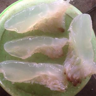 �����^���l�V���L�׻���Խ���؏V�|��׻��Ǽ�ʳ�����Ͱ�b���ؽz