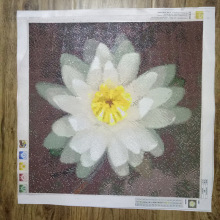5D钻石画绣好成品图花之镜像荷花满钻纯手工贴十字绣成品出售一件