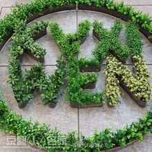 ���S�����ֲ�ﱳ���� �������� ������b� ������@��ֻ/���~