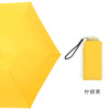 Small umbrella solar-powered, sun protection cream, UF-protection