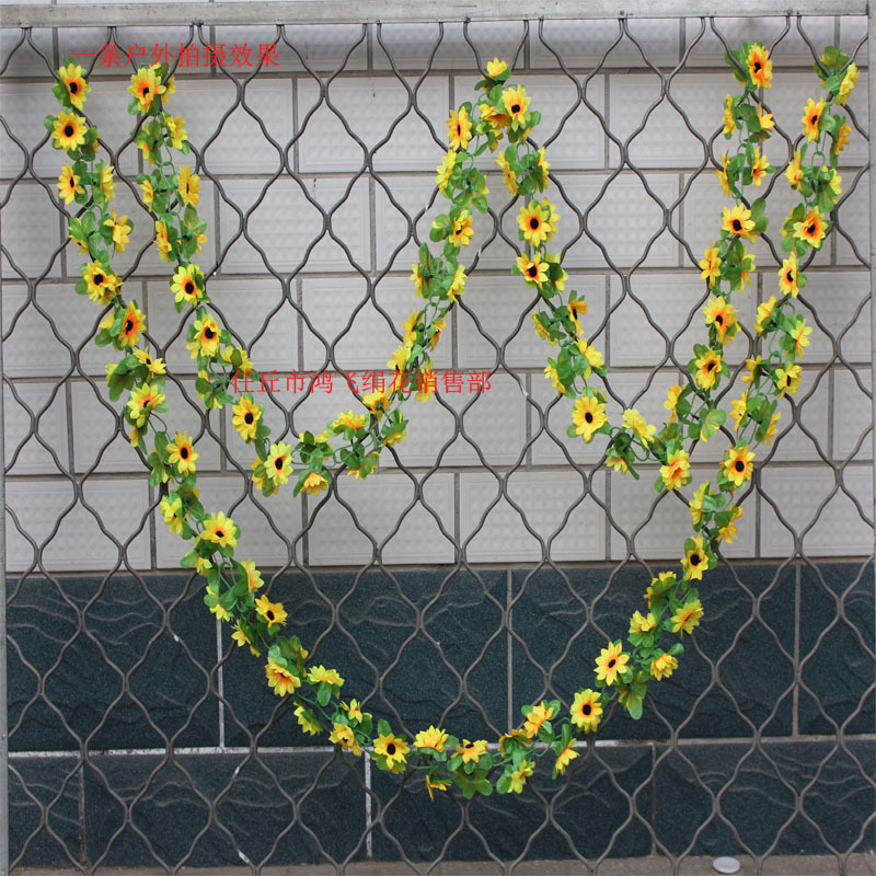 xiaotaiyanghualian21