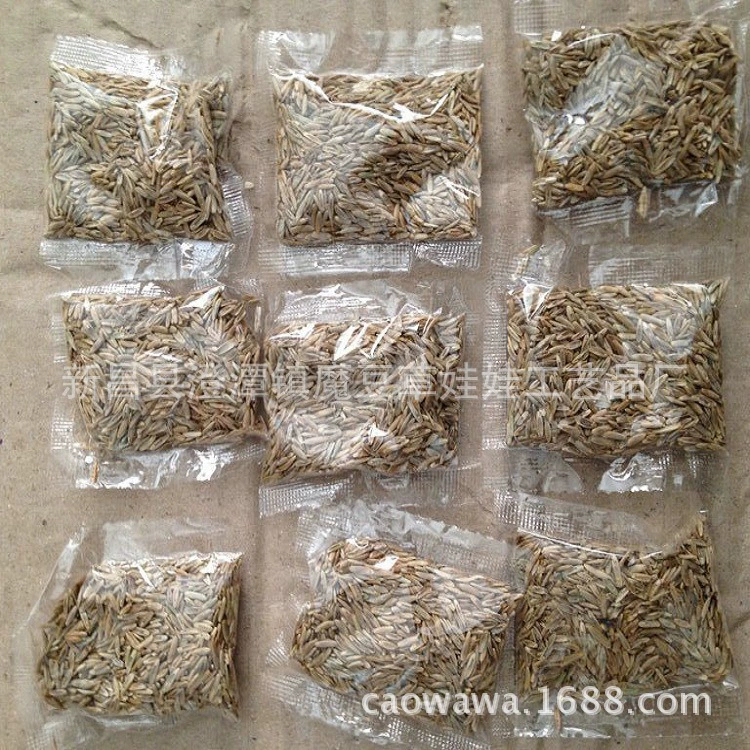 Трава кукла райграсс в упаковке 2 г для посадки газонов офисное Выращивание растений Подарочные игрушки