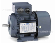 ����LEESONֱ��늙C ����늙C192038.00 C71T17FZ4C��Ʒ192021.00