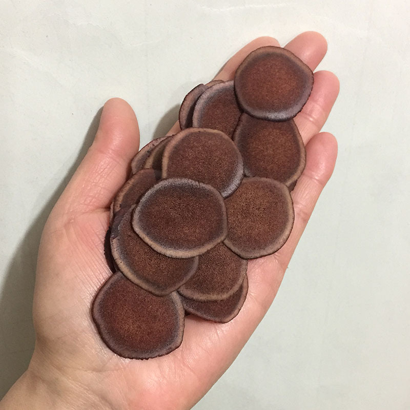 Time limit Northeast velvet Velvet blood films Velvet piece bulk Velvet piece Soup Paojiu Antler