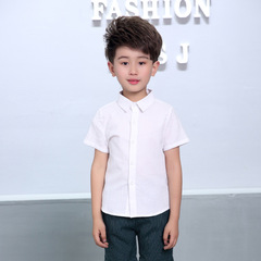 Summer Children's Short Sleeve Shirt Boys Collar White Cotton Blouse Underwear Korean Version Middle and Small Children's Clothing Wholesale