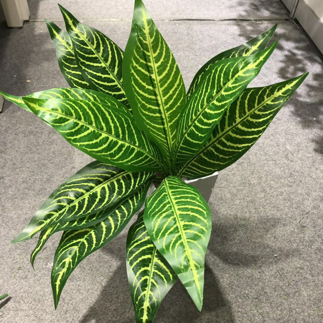 DIY artificial bird's nest fern, magnolia leaf, artificial plant wall accessories, small bonsai, green plants, hand-felt leaves, Brazilian wood detail image 8