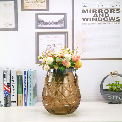 colour Crystal glass vase Glass colour new pattern transparent Scindapsus Hydroponics Glass vase Clearance Special Offer