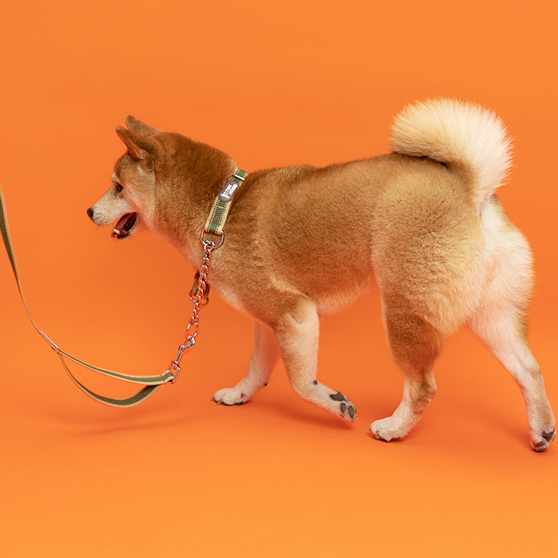 TUFFHOUND狗狗項(xiàng)圈牽引繩狗鏈鐵鏈脖圈頸圈P鏈套裝批發(fā)寵物用品