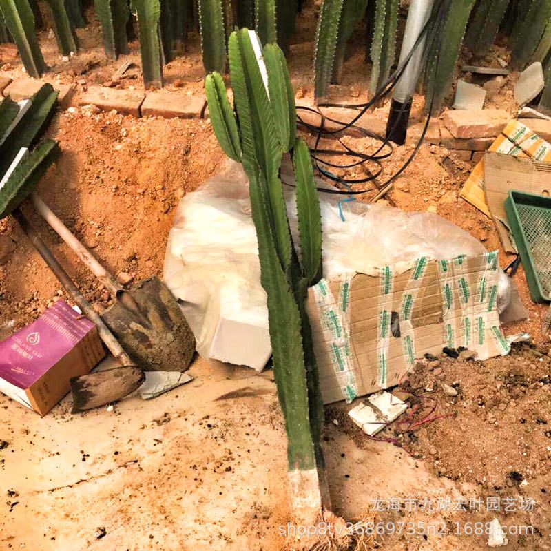 ΢ͼƬ_201905091611413