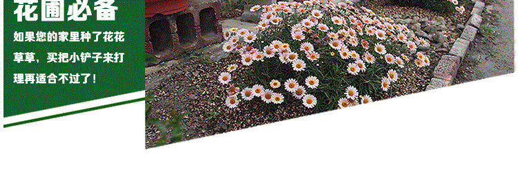 Couteau de survie - Ref 3398244 Image 8