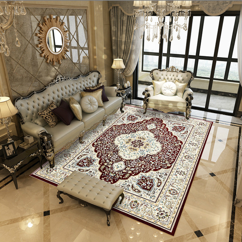 Modern ethnic carpet for living room, furniture, ethnic style, washable 3