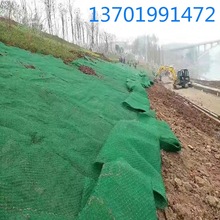 �@�ֲ�ƺ�o��ֲ�ݸ��wֲ���W ���B���̷��m�G�����Sֲ���W