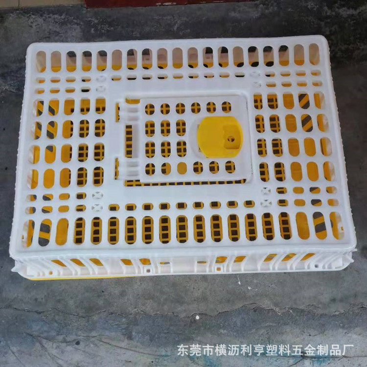 9.7斤加厚运输鸡笼 黄白塑料鸡鸭笼 弹簧自动扣家禽周转筐 周转箱