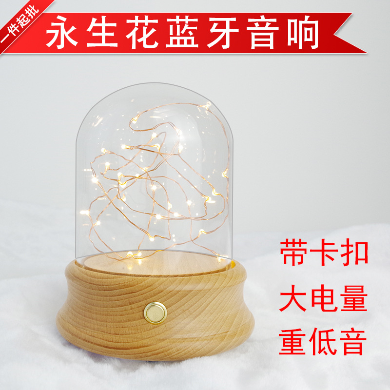 点灯猫永生花玻璃罩蓝牙音响玻璃罩音乐盒北欧微景观摆件|ru