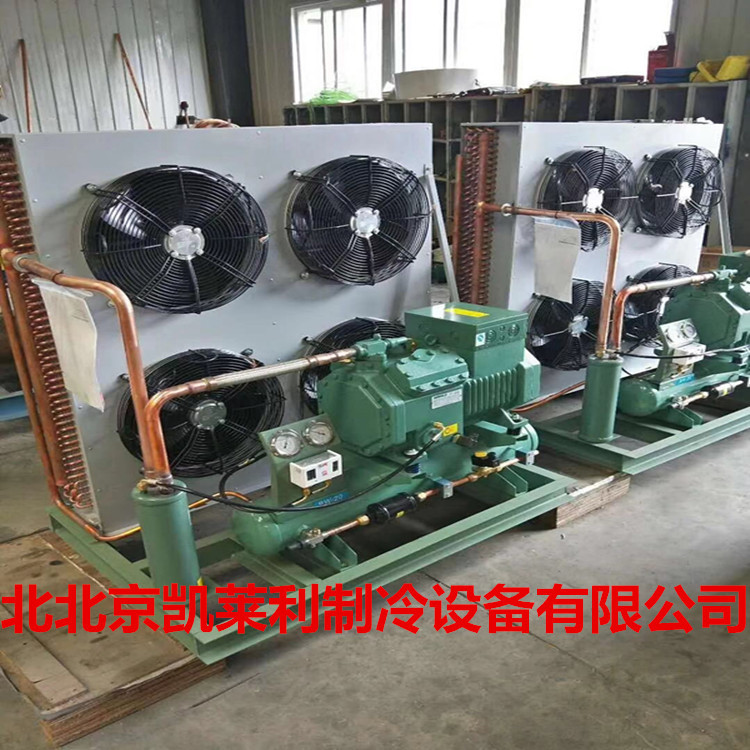 4VCS-10.2Y  北京比泽尔冷库机组 风冷压缩机组4VES-10Y