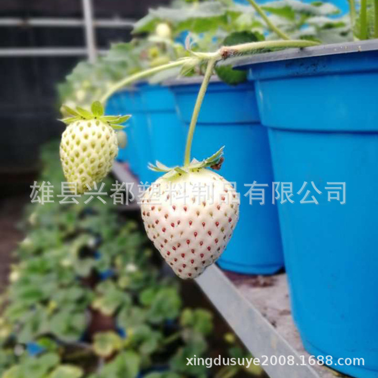 微信图片_20190806195324