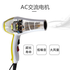 Kinbō Wang 8877 High Power Home Salon Cold and Hot Constant Temperature Direct Selling Generator Hair Dryer