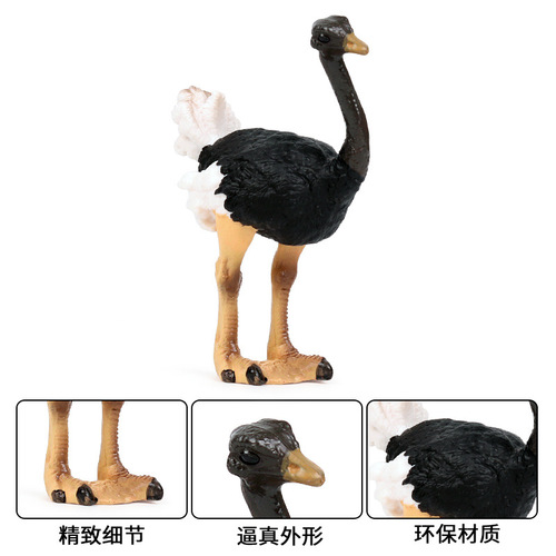 Cross-border children's cognitive simulation wild animal bird model African ostrich bird toy ornaments hand-made set