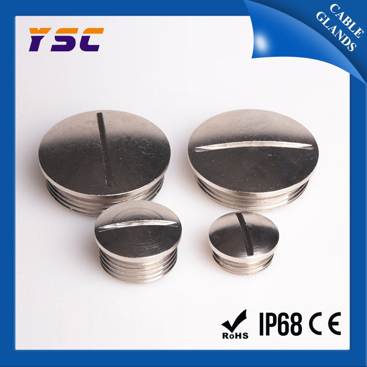 PG19金属闷盖 防水堵盖 防水堵头黄铜镀镍六角堵盖圆形一字堵头