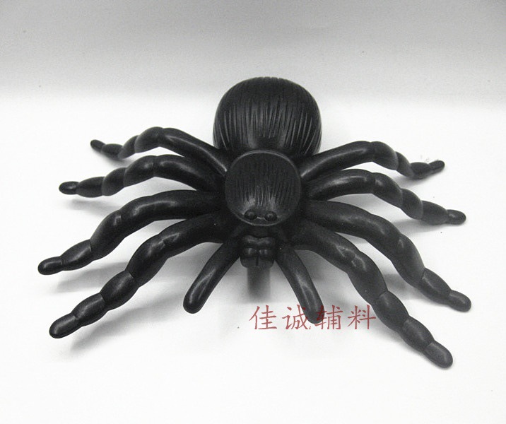 大蜘蛛半畔大15CM