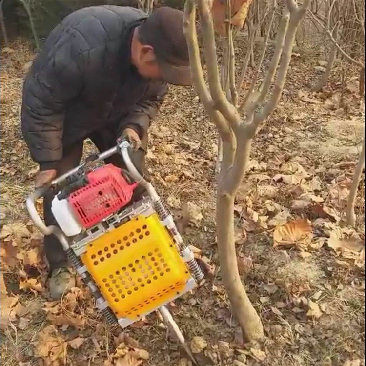 树苗移栽机 挖土球移树机 锯齿挖树机生产厂家