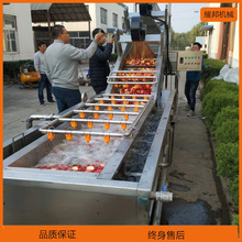 厂家定制水果加工生产线 橙子分选清洗打蜡等机械 果蔬风干机