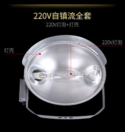 防爆灯;LED装饰灯;投光灯